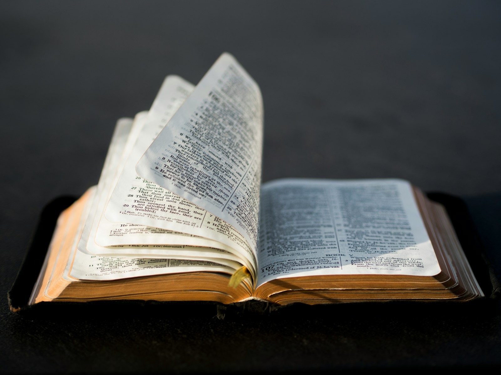 Doctrina de la Palabra de Dios (Epistemologia)