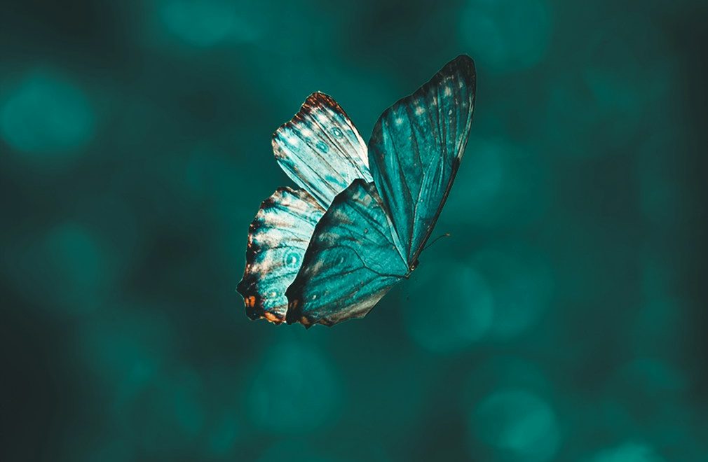 Transformación Espiritual